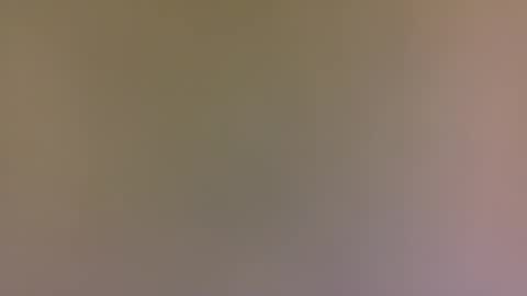 Snapshot of alexfan141 chatting on October 2025 04:41:01 PM alexfan141 online show from October 2025 04:41:01 PM