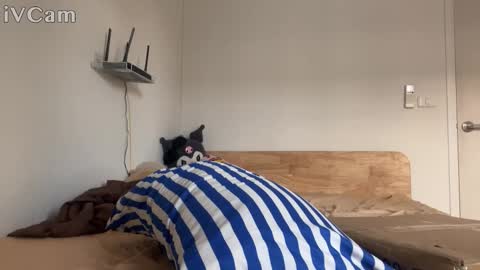 alexfilmx online show from October 2025 07:31:02 AM