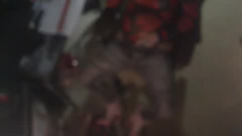 Snapshot of aliceleemcgee chatting on February 2026 10:36:02 AM aliceleemcgee online show from February 2026 10:36:02 AM