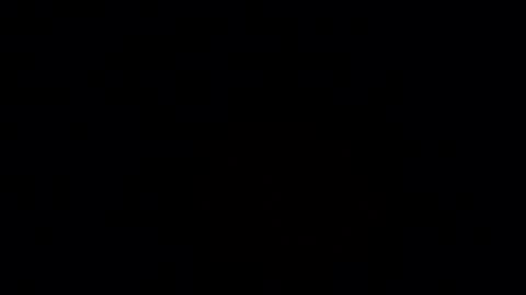     online show from February 2026 06:24:02 PM