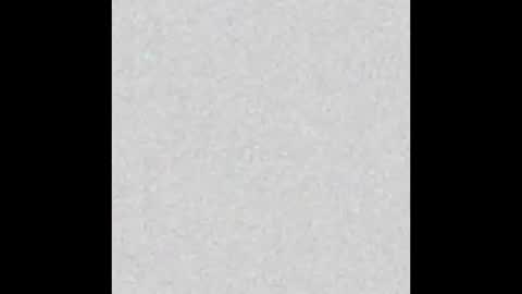 Alisse online show from October 2025 12:04:02 PM