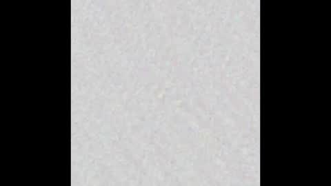 Alisse online show from October 2025 12:06:01 PM