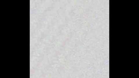 Alisse online show from November 2025 12:08:02 PM