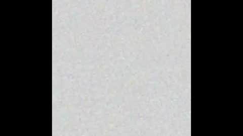 Alisse online show from January 2026 12:10:02 PM