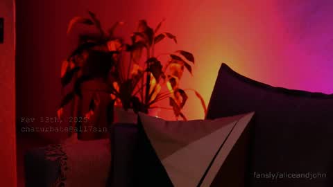 Snapshot of all7sin chatting on February 2025 10:11:02 PM Alice John online show from February 2025 10:11:02 PM