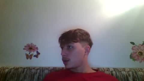 Snapshot of alldickshere chatting on October 2025 12:08:01 AM alldickshere online show from October 2025 12:08:01 AM