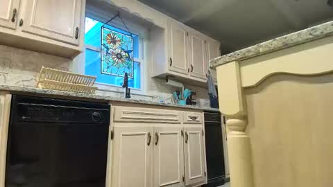 wishlist on bio online show from January 2026 09:41:01 PM