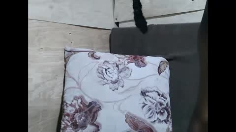 Allie online show from February 2026 11:14:01 AM