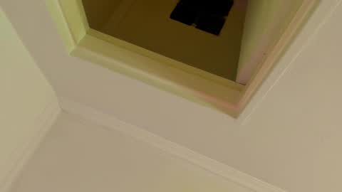    online show from December 2025 10:42:01 AM