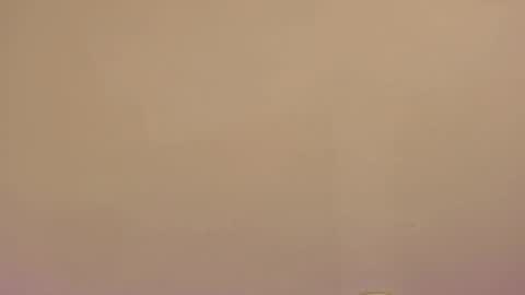    online show from January 2026 10:39:02 AM