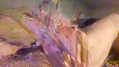 Allthingsfun online show from January 2025 10:41:02 AM