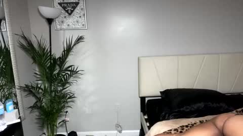 Snapshot of alongcamelexy chatting on October 2025 04:43:02 AM alongcamelexy online show from October 2025 04:43:02 AM