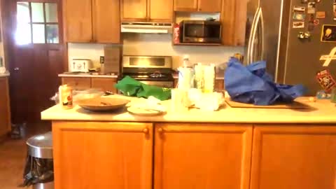 Alvie online show from January 2025 03:03:01 PM