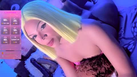   online show from December 2024 08:33:02 AM