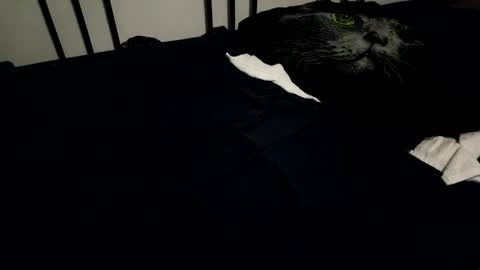 Snapshot of amadeusz chatting on December 2024 10:19:01 PM amadeusz online show from December 2024 10:19:01 PM