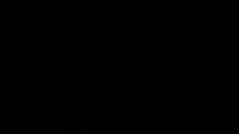 Amanda online show from February 2025 04:37:01 AM