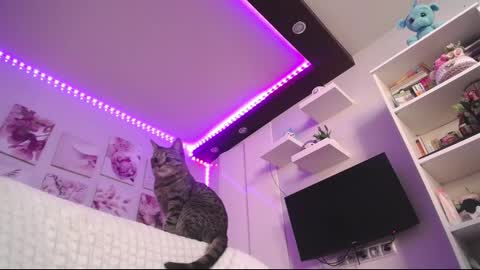 Snapshot of amazing_agness chatting on February 2025 07:00:02 AM amazing_agness online show from February 2025 07:00:02 AM