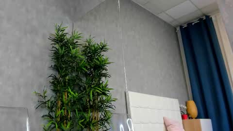 amirarees online show from October 2025 06:48:01 AM