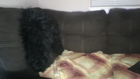 Snapshot of amiri_sweater chatting on February 2025 06:36:02 AM amiri_sweater online show from February 2025 06:36:02 AM