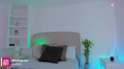 AMMY online show from February 2026 08:10:01 PM