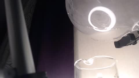 Snapshot of amoremeoww chatting on February 2025 03:50:01 AM miss unforgettable online show from February 2025 03:50:01 AM