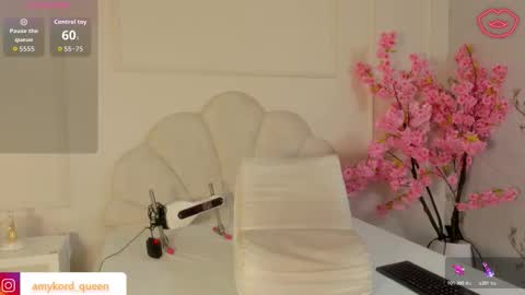 Snapshot of amykord chatting on November 2025 11:34:02 AM Amykord online show from November 2025 11:34:02 AM