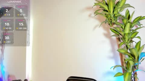 Ana  online show from February 2026 11:33:01 AM