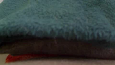 anaiserebel online show from January 2025 07:34:02 AM