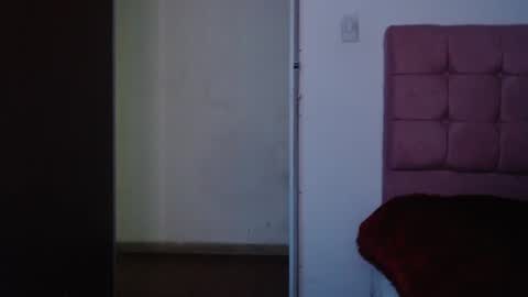 Snapshot of anasweet_69 chatting on December 2024 11:57:01 PM ANA online show from December 2024 11:57:01 PM