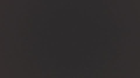   online show from November 2025 11:21:02 AM