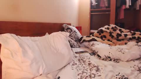 Andra online show from January 2025 08:29:02 AM