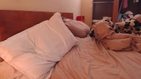 Andra online show from February 2025 03:27:01 AM