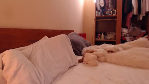 Andra online show from March 2025 07:54:01 PM