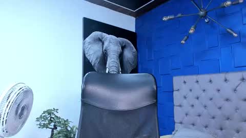 Snapshot of andres_clark chatting on October 2025 06:14:02 PM insta andres clark online show from October 2025 06:14:02 PM