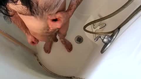 Snapshot of andybadass chatting on February 2025 07:09:01 PM andybadass online show from February 2025 07:09:01 PM