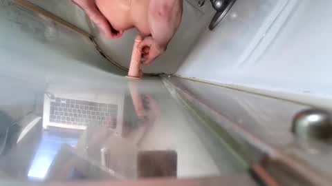 Snapshot of andybadass chatting on March 2025 12:37:01 PM andybadass online show from March 2025 12:37:01 PM