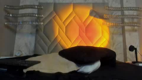 Snapshot of andypalmer_ chatting on January 2025 09:48:02 AM andy palmer online show from January 2025 09:48:02 AM