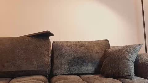 angelinepossy online show from February 2026 10:50:02 PM