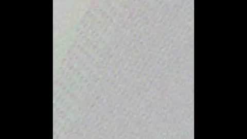 Angie y Andres online show from November 2025 12:20:01 PM