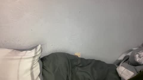 Animeboygirls online show from January 2026 04:49:02 AM