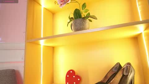 Ana online show from November 2025 12:33:01 PM