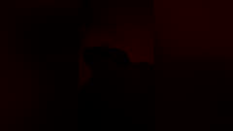 anonomouselee online show from March 2026 05:24:01 AM