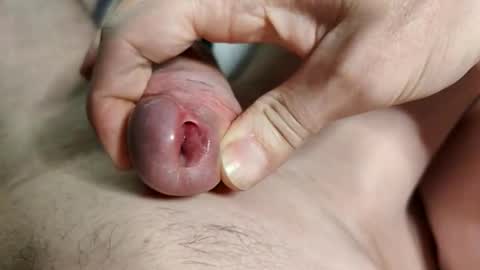 Apollo online show from December 2025 02:12:02 PM