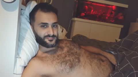 Snapshot of arabhairy90 chatting on December 2024 09:00:02 PM hairycub online show from December 2024 09:00:02 PM