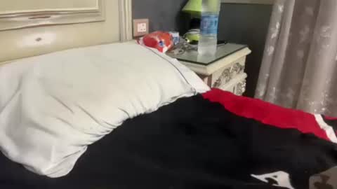 Egyptian Man online show from January 2025 01:05:02 AM