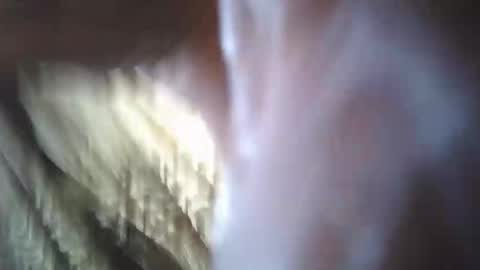 olo online show from December 2025 08:29:02 AM