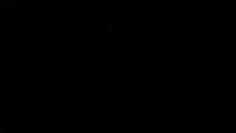 ARIANNA  online show from February 2026 01:46:01 AM