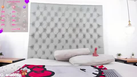 Snapshot of aria_paul chatting on December 2025 10:24:01 AM aria online show from December 2025 10:24:01 AM