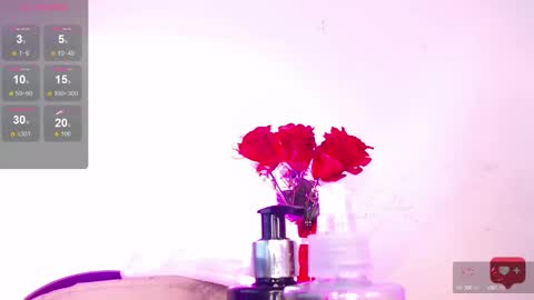 Ari online show from January 2025 07:24:01 PM