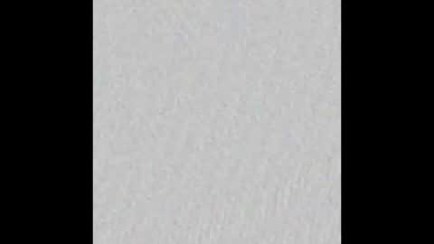 Arianna Collins online show from February 2026 11:52:01 AM